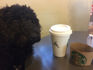 Jetzt hat sie das Kaffealter schon erreicht!