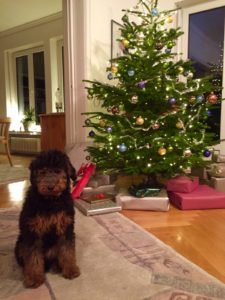 img-20161224-wa0015